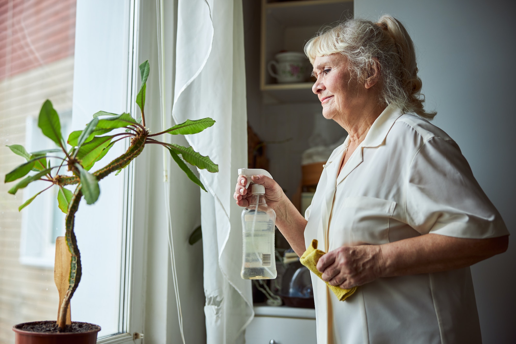 Nice old woman taking care of houseplant at home